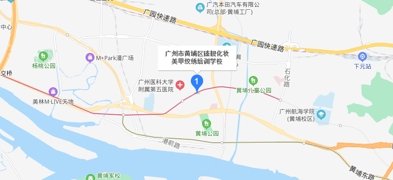 1605061026858613.png 14172746.png