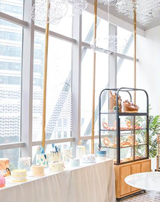 <strong>蓝点环境</strong>