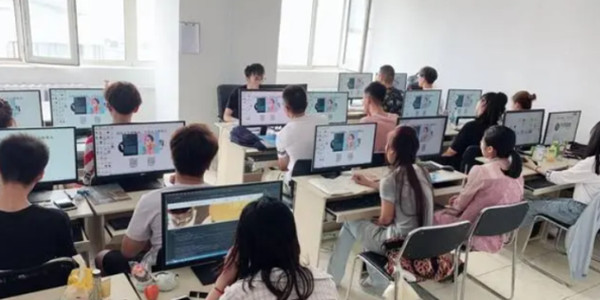 学计算机去学校学习还是培训机构？